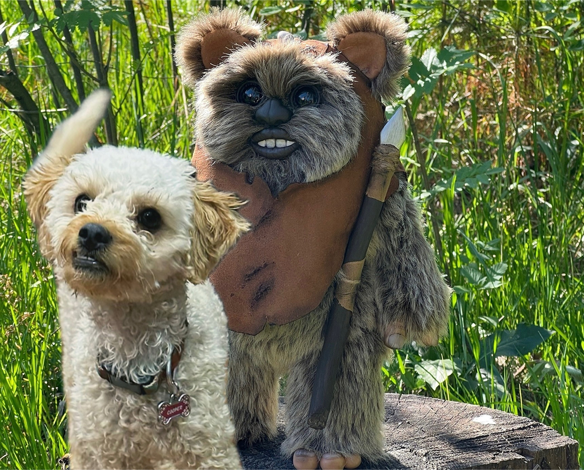 Cooper With Ewok